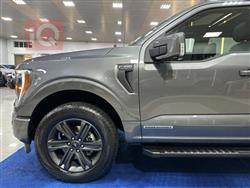 فۆرد F-150